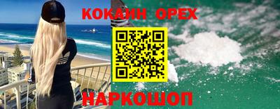гашик Кинель