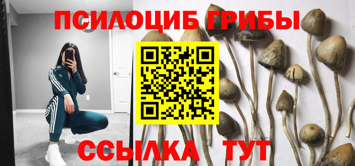 Галлюциногенные грибы Cubensis Магадан