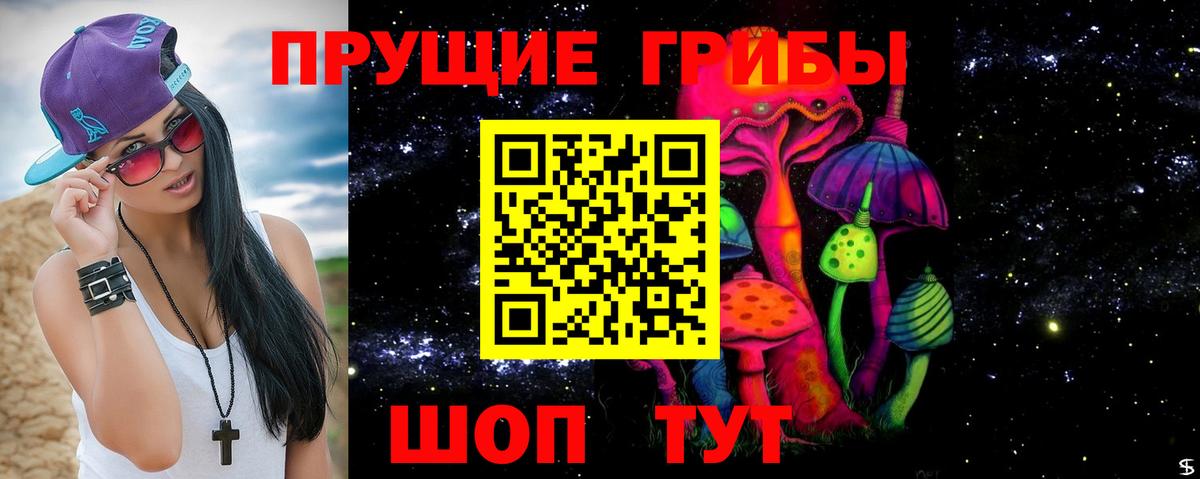 Псилоцибиновые грибы Psilocybine cubensis  даркнет сайт  Магадан  Вход с VPN 